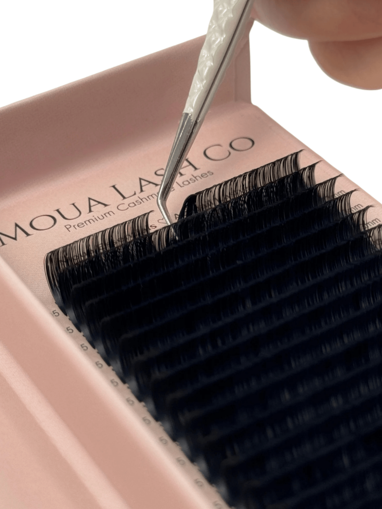 Abigail Lashes - Black/Brown (20 Rows/Tray) - Moua Lash Co